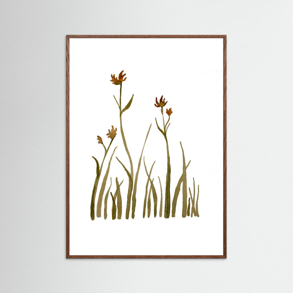 Kangaroo Paw Poster
