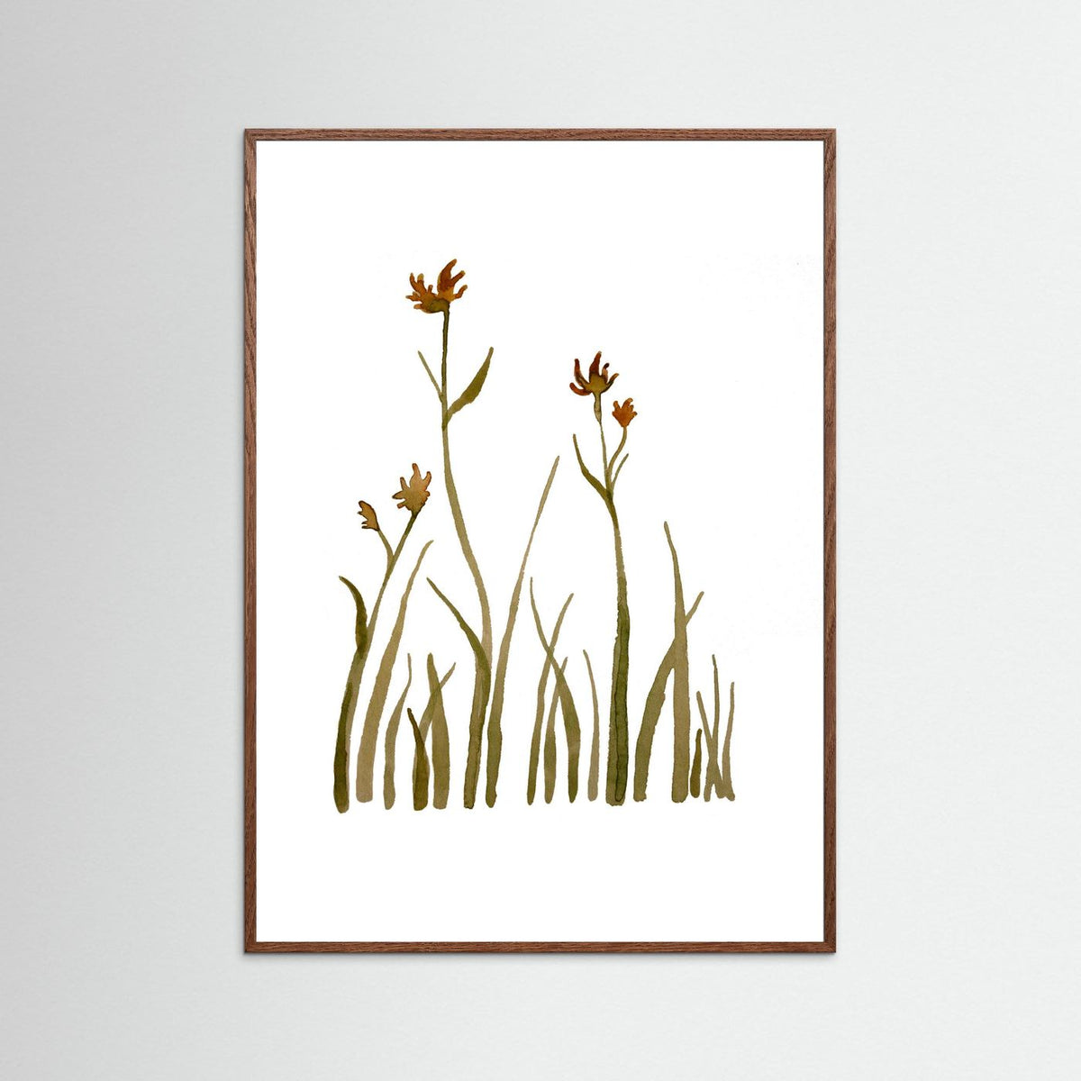 Kangaroo Paw Poster