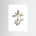 Banana Tree Poster