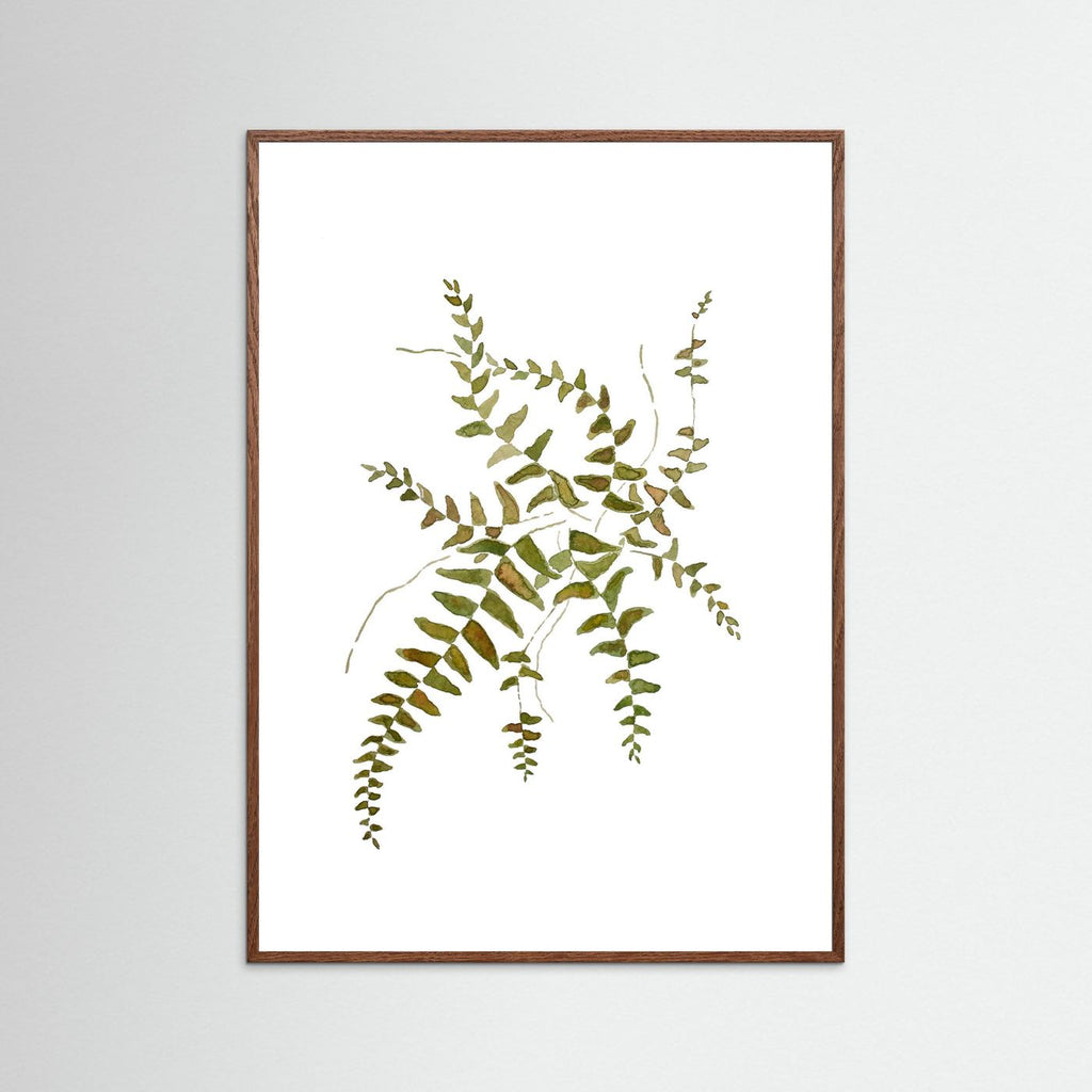 Fern Poster