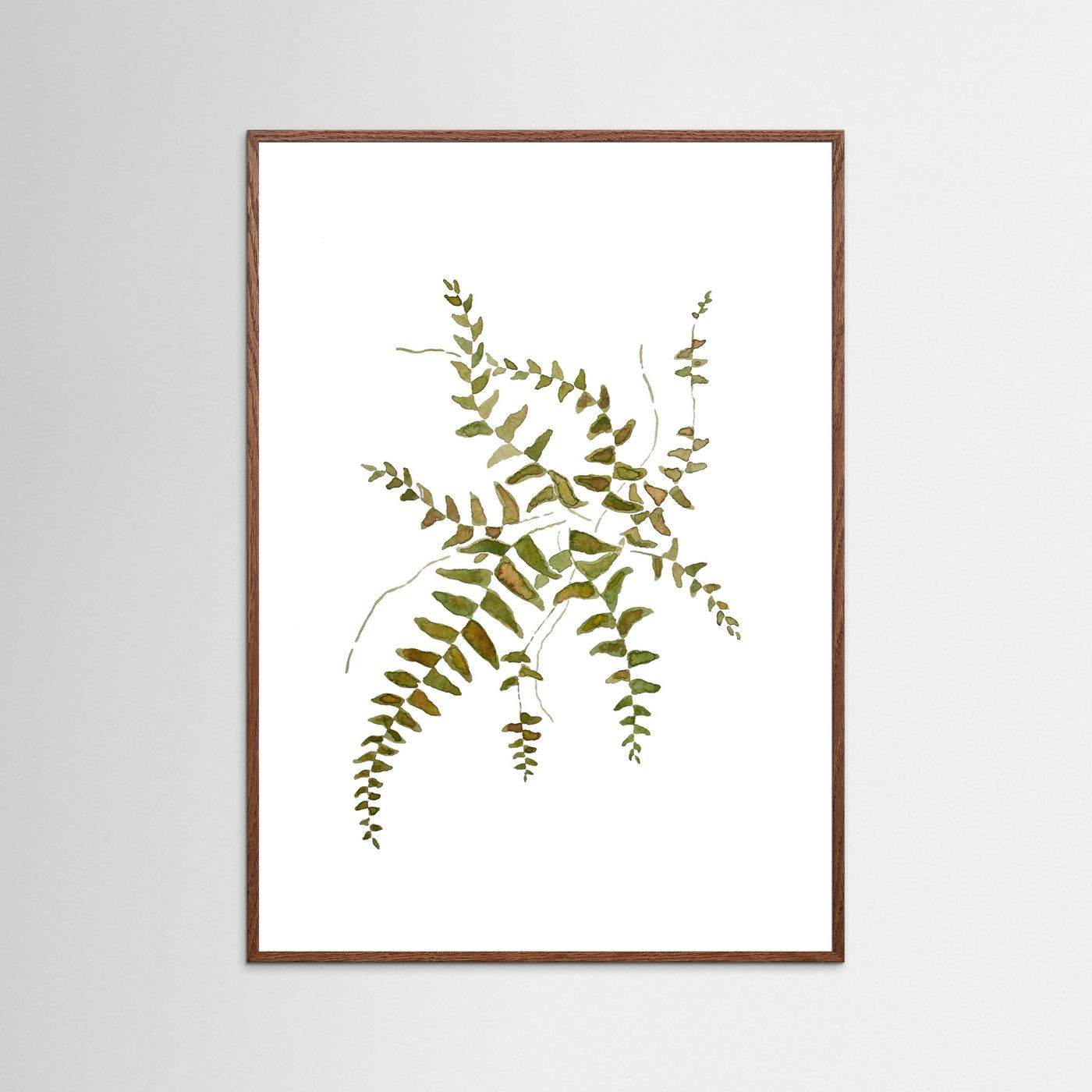 Fern Poster