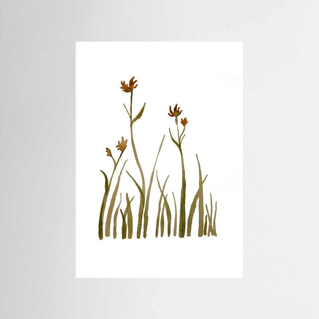 Kangaroo Paw Poster