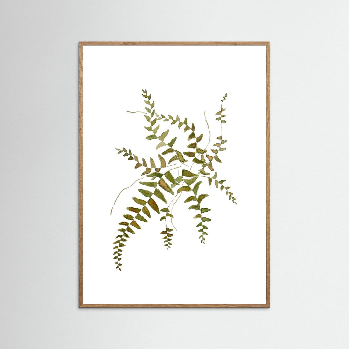 Fern Poster